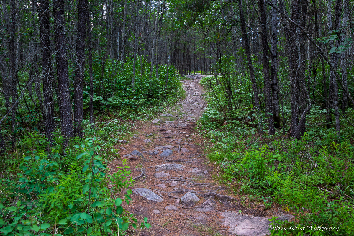 Falcon Lake Lakeshore Campground Leisure Travel Vans
