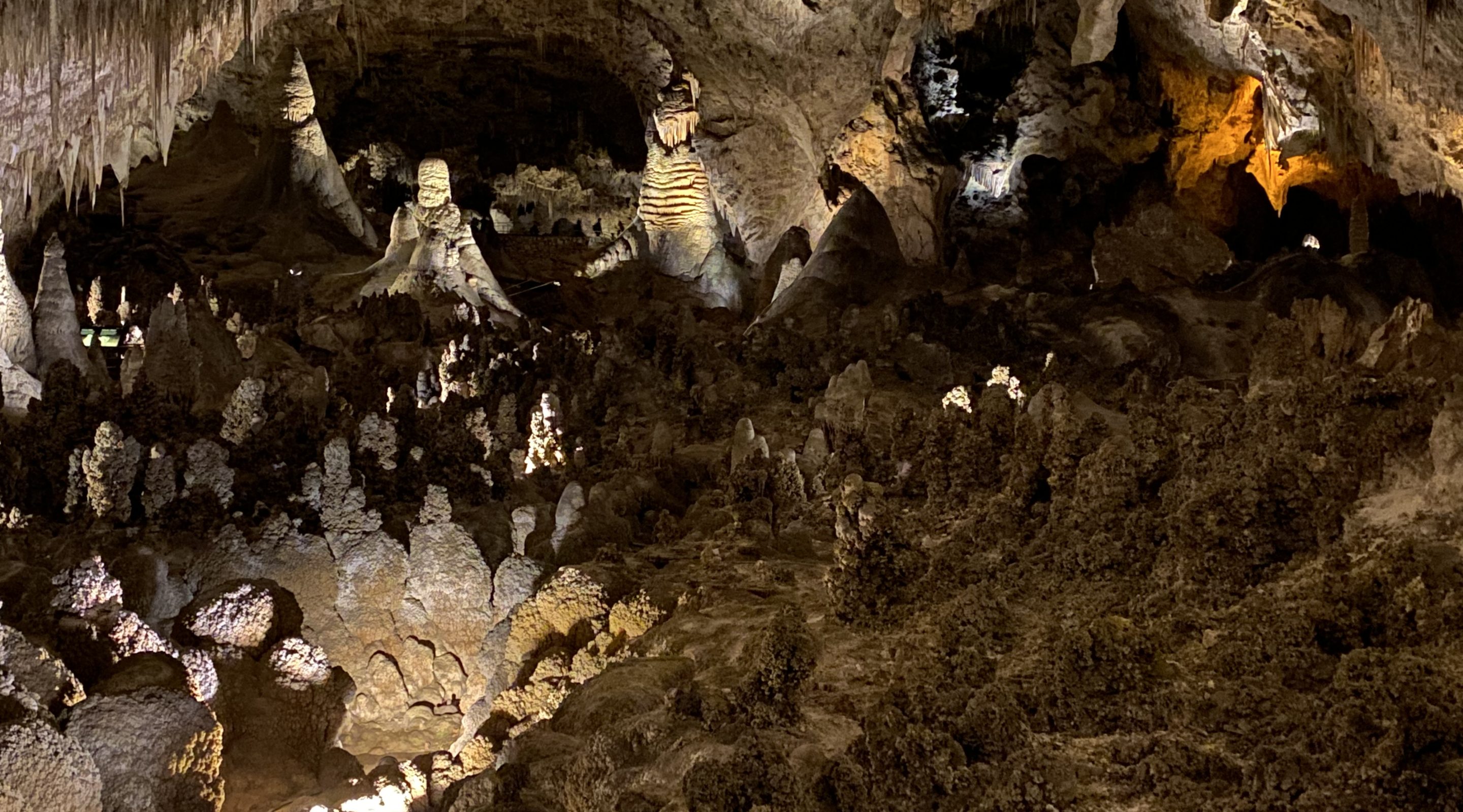 Heading West, Part III Carlsbad Caverns Leisure Travel Vans