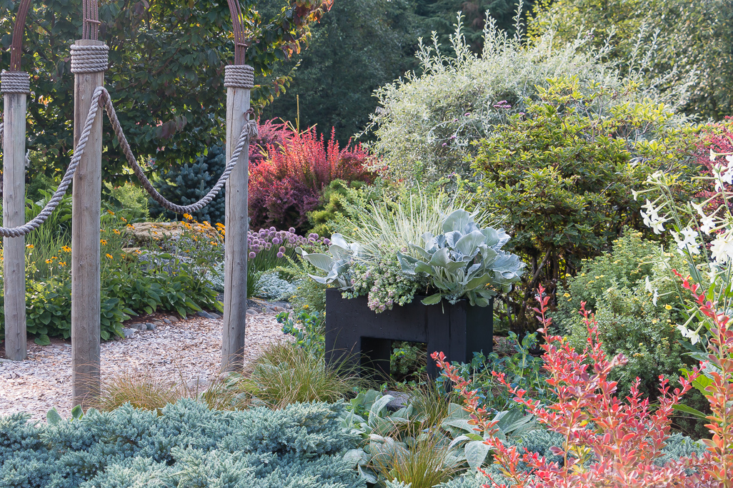 DeerResistant Containers Before & After Le