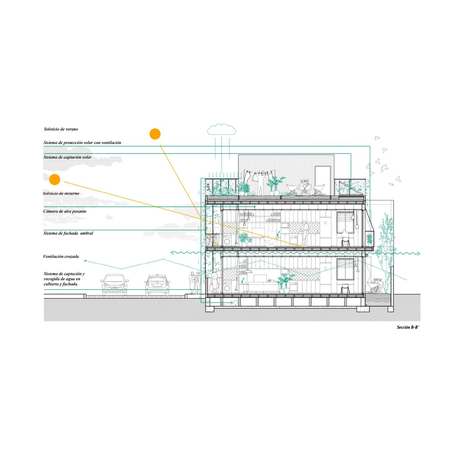 VPS. Apartments for nature protection. Mallorca Martin Lejarraga