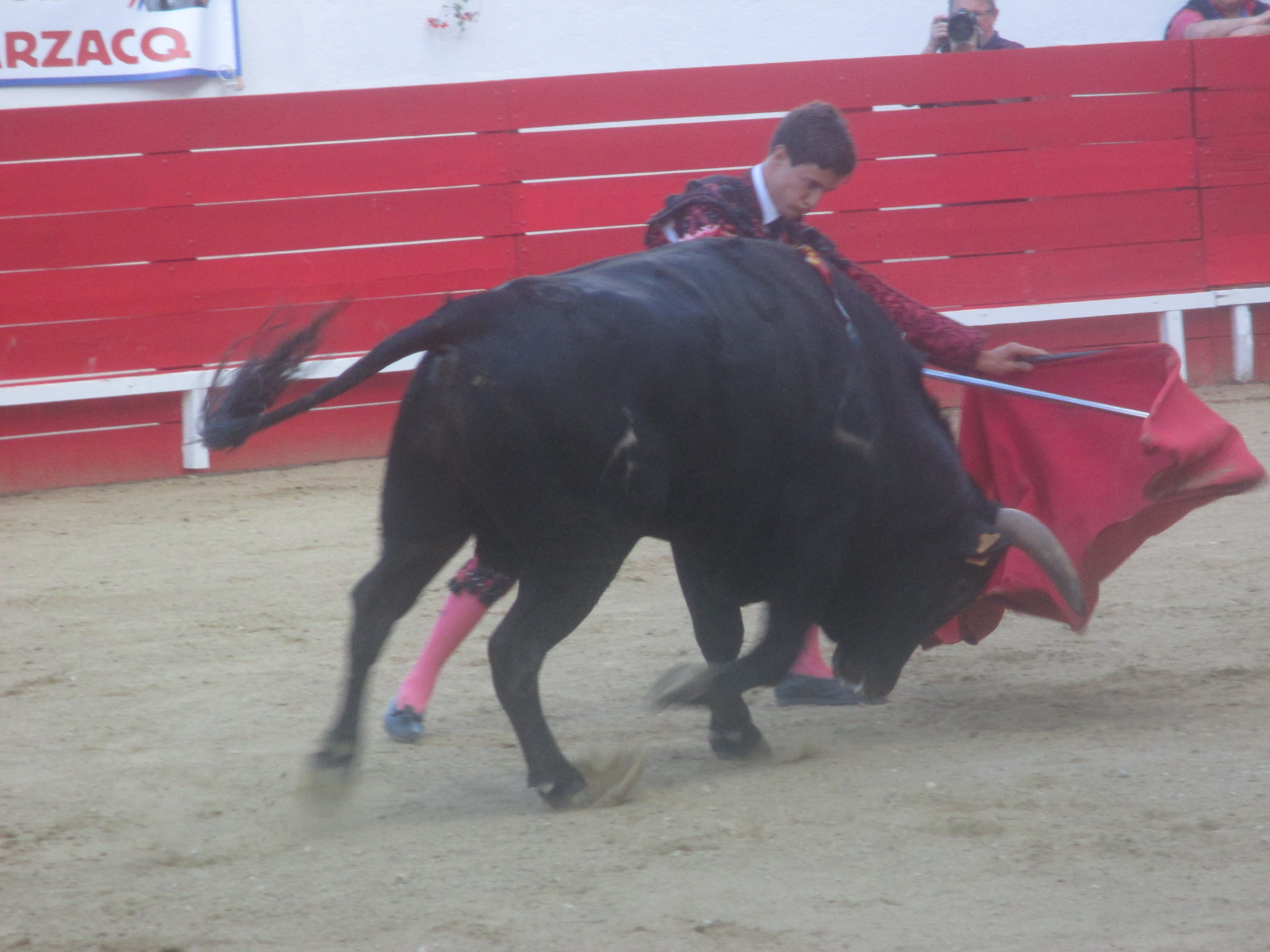 Novillada de Plaisance Le journal du Gers Journal d'actualités en