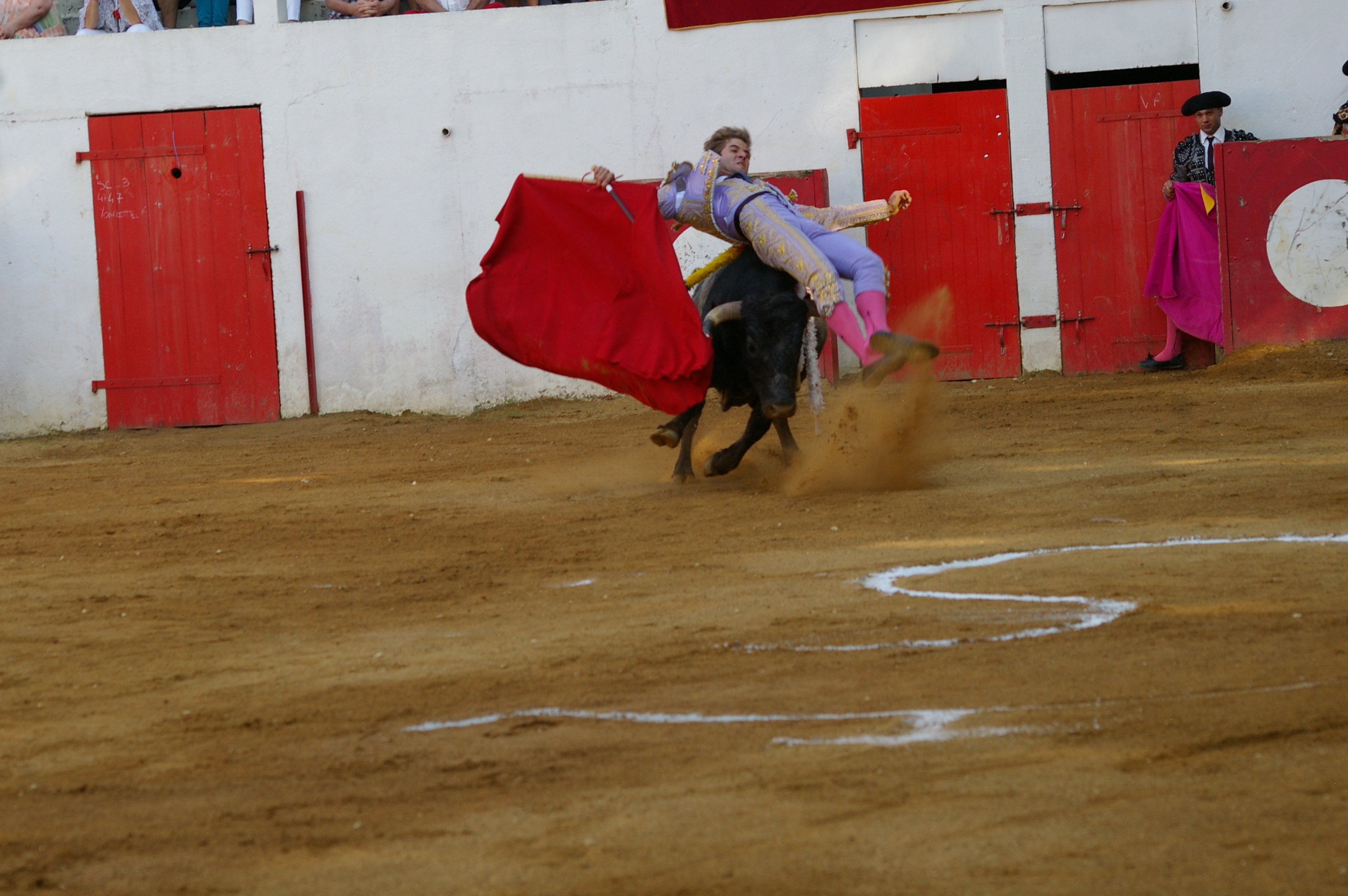 Superbe novillada du 14 juillet à Plaisance Le journal du Gers