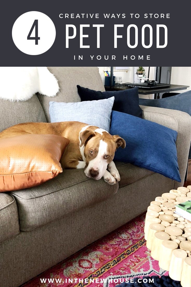 best way to store pet food