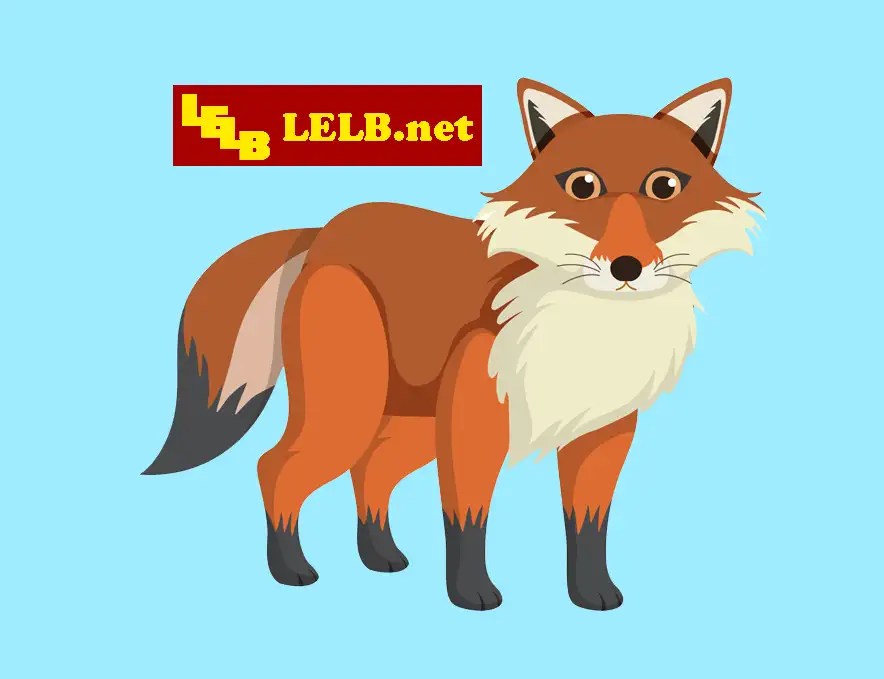 English Documentary on Giant Pandas with Transcript LELB Society