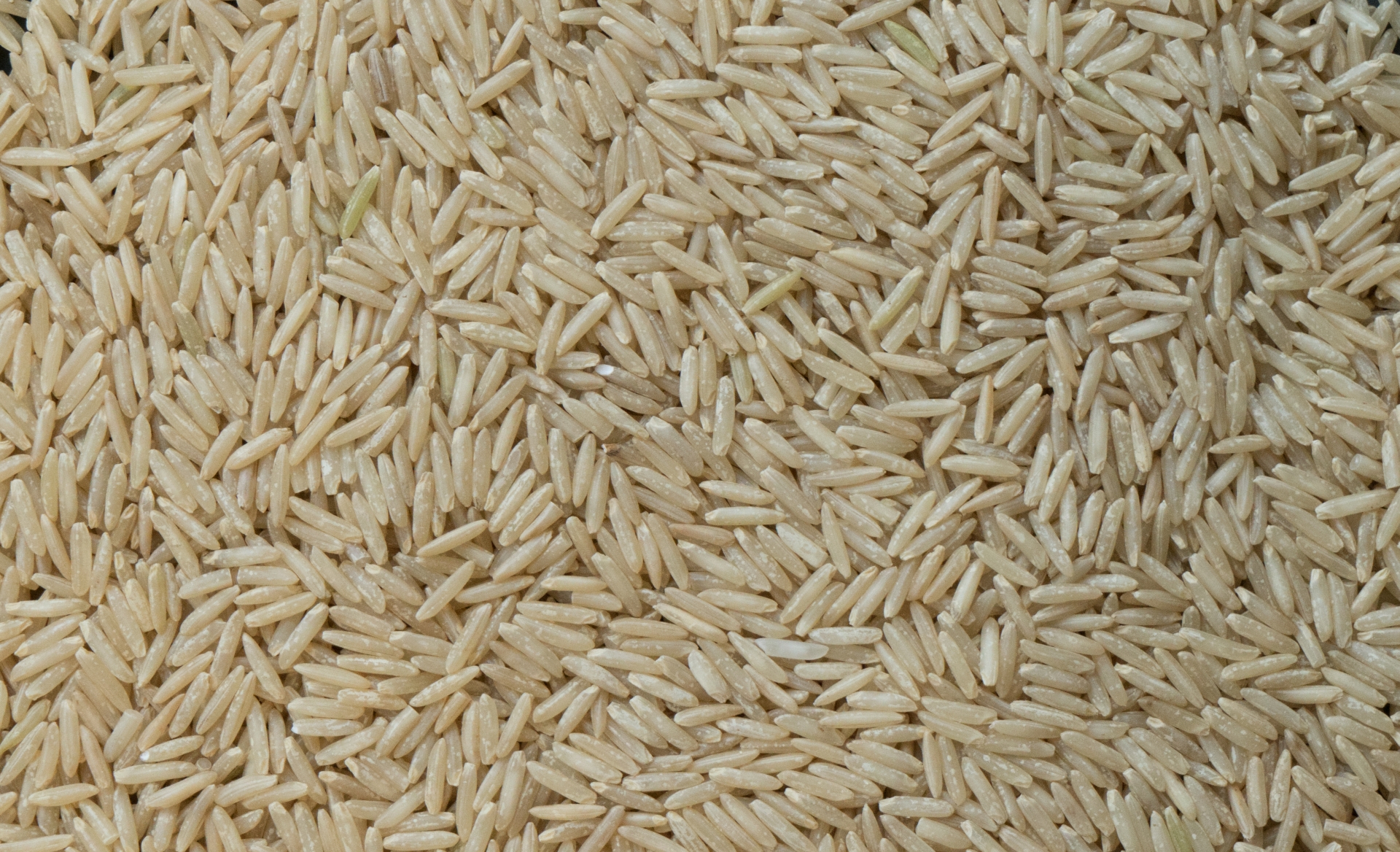 AGRICULTURE Riz, la RDC veut limiter sa dépendance aux