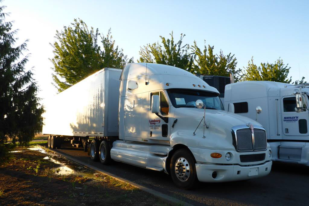 Gallery Lemberg Group