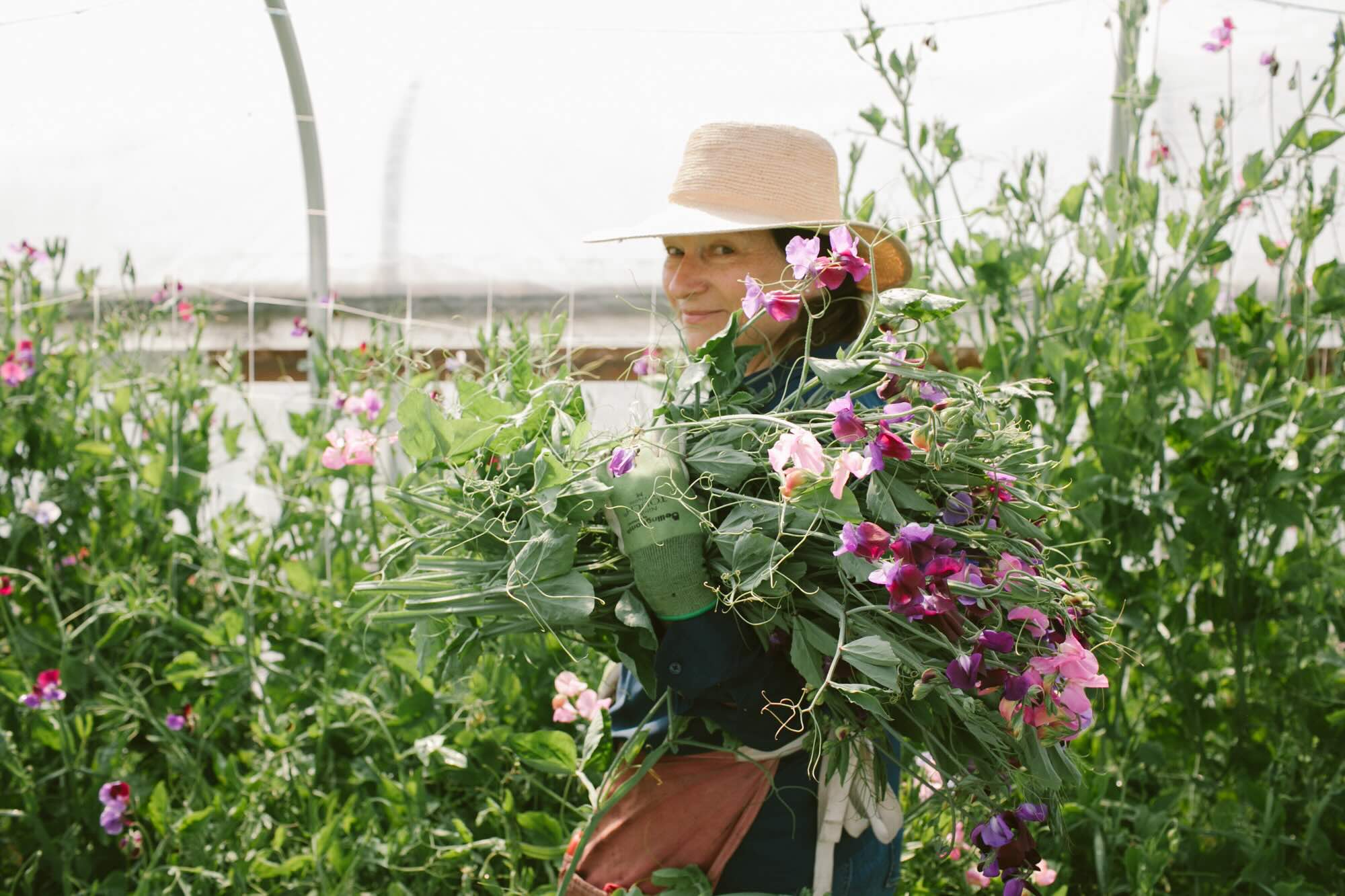 Le Mera Gardens Oregon's Organic Fresh Flower Farm