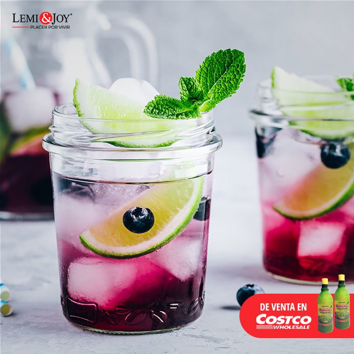 Blackberry gin fizz con albahaca Bebida preparada con LEMIJUICE®