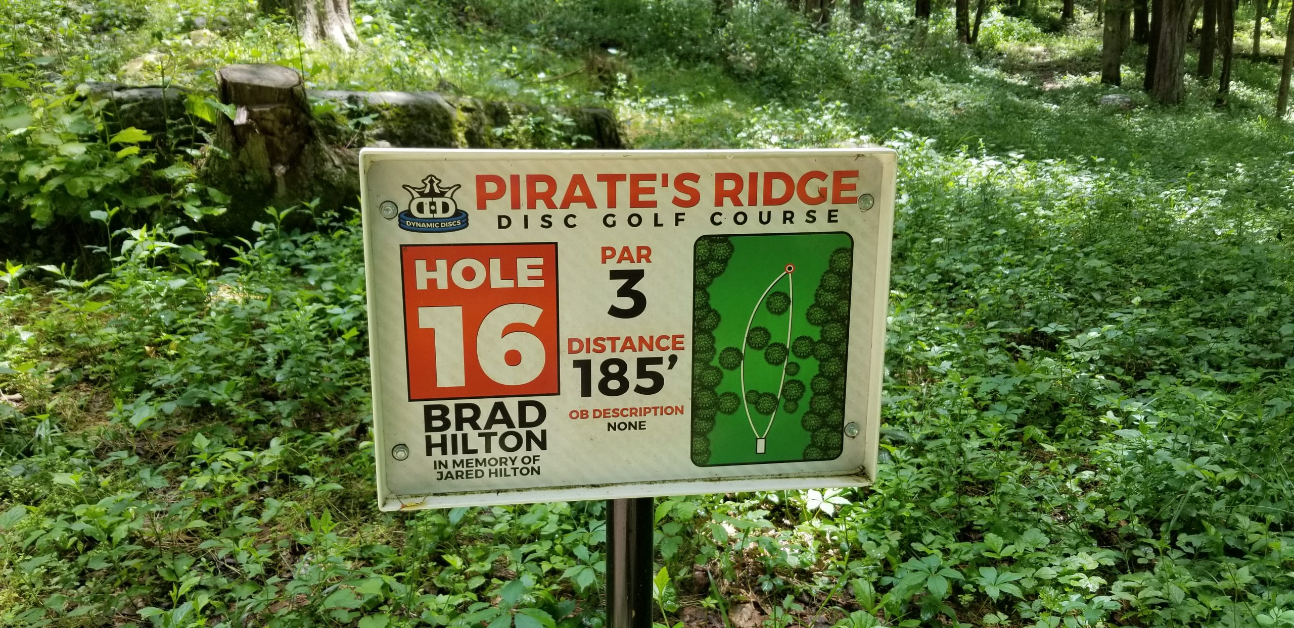 Disk Golf Tournament Nov 7th Lemley's Lodge