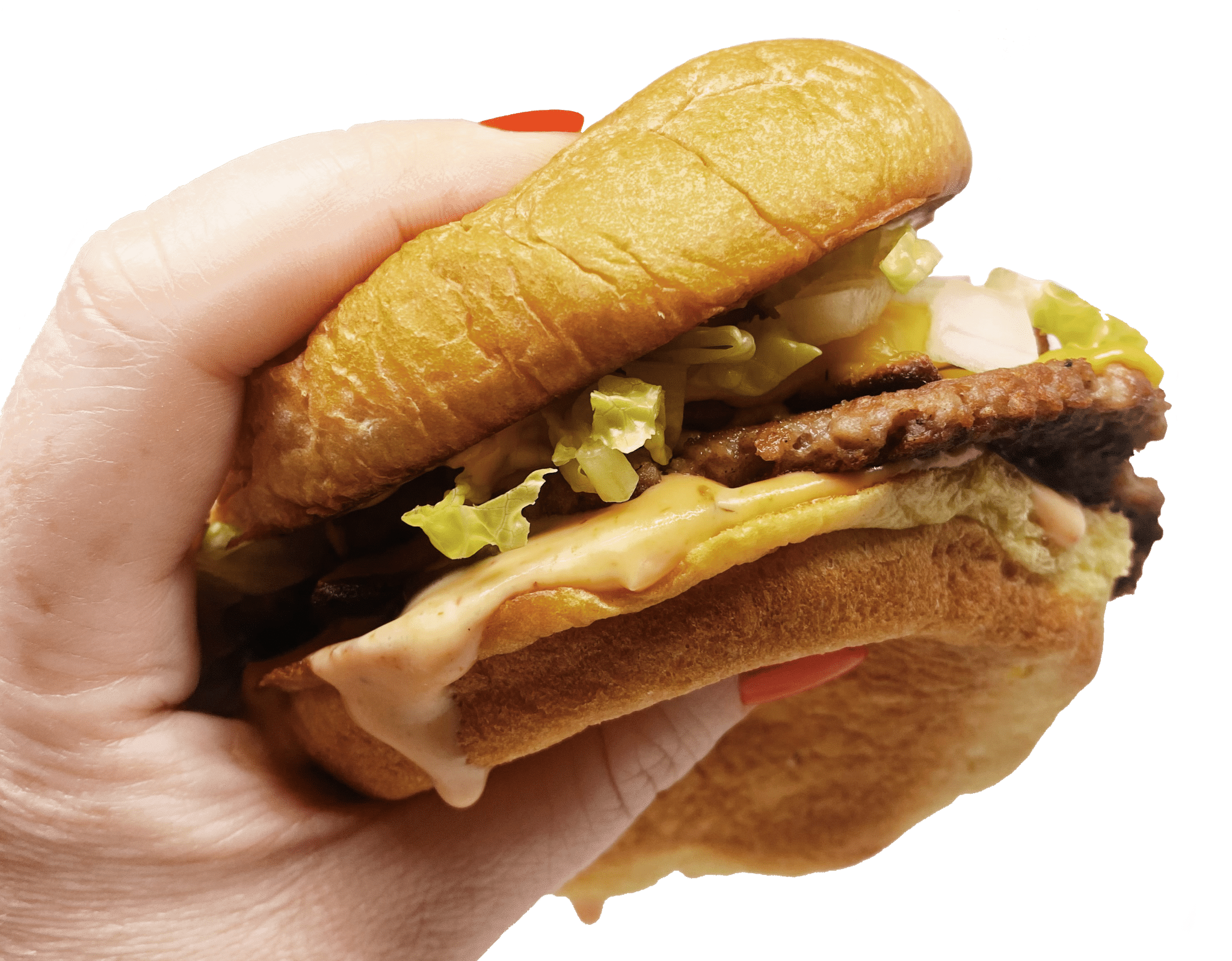 Wholesale Lemonade in Halifax and Dartmouth NS Lemon Dogs Lemonade