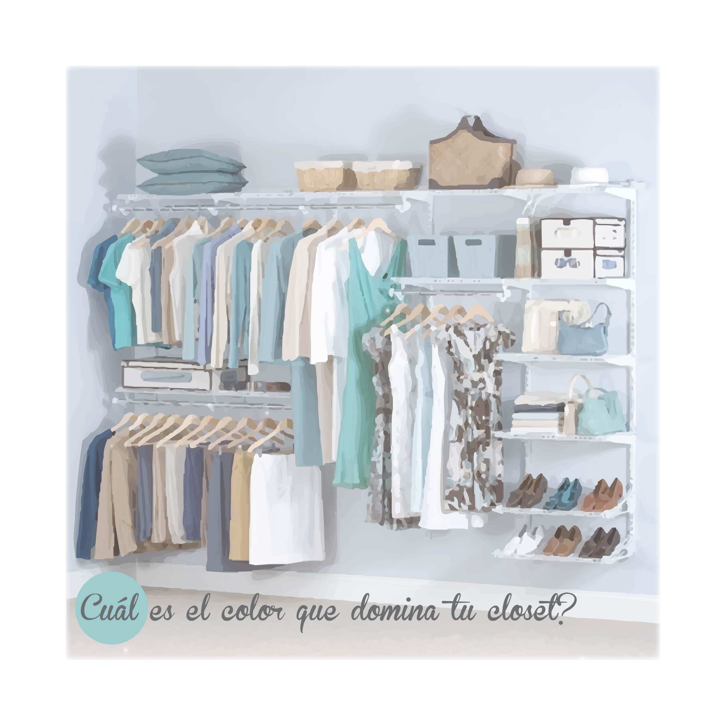 Lista 95+ Foto Closet Paleta De Colores Para Ordenar Ropa El último