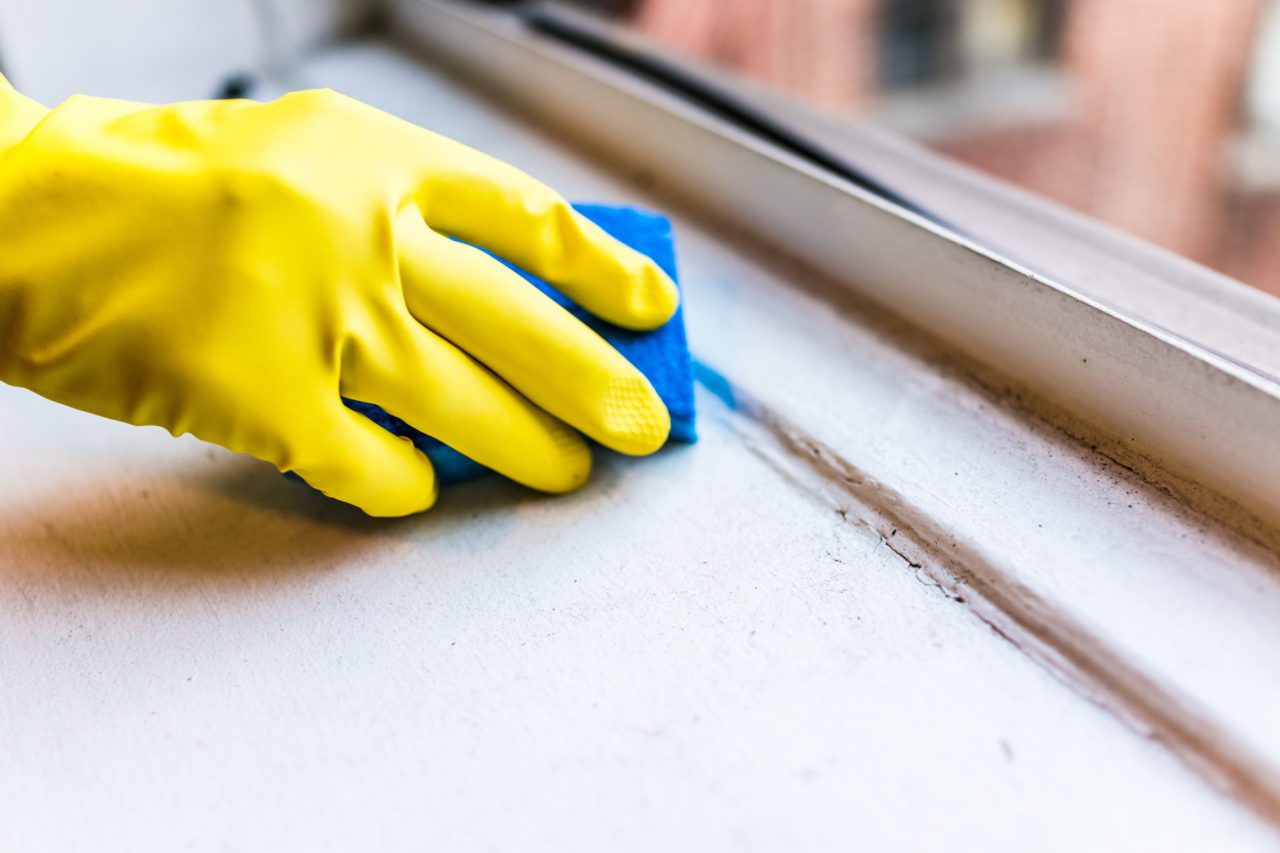 How to Clean Windows 4 Tips for Homeowners