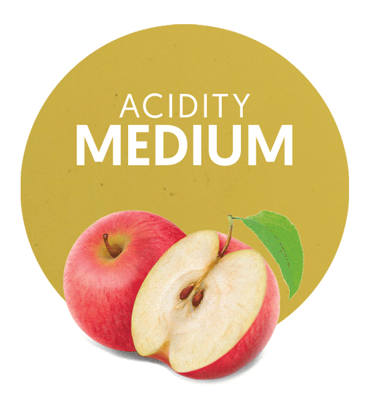 Catalogue Fruit and Vegetable Products Lemonconcentrate