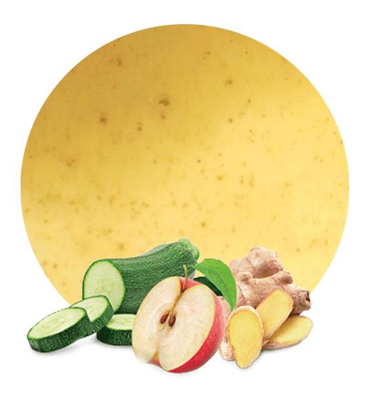 Lemon & Ginger Concentrate Manufacturer and Supplier