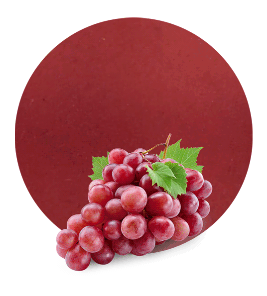 Red Grape Pomace Manufacturer and Supplier LemonConcentrate