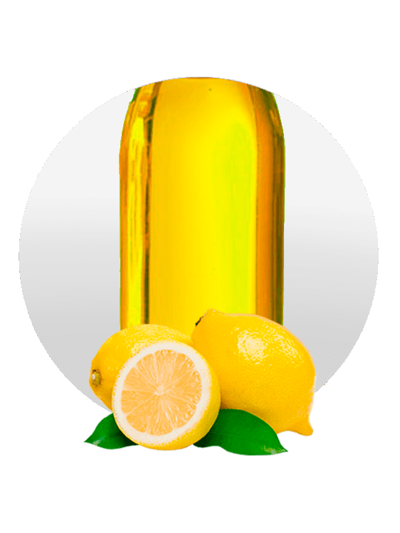 Catalogue Fruit and Vegetable Products Lemonconcentrate