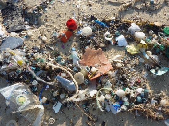 マイクロプラスチックとは: 定義と種類 - マイクロプラスチックが環境に与える影響