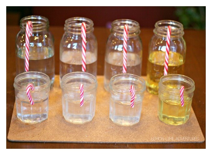 Dissolving Candy Canes Christmas Science for Kids