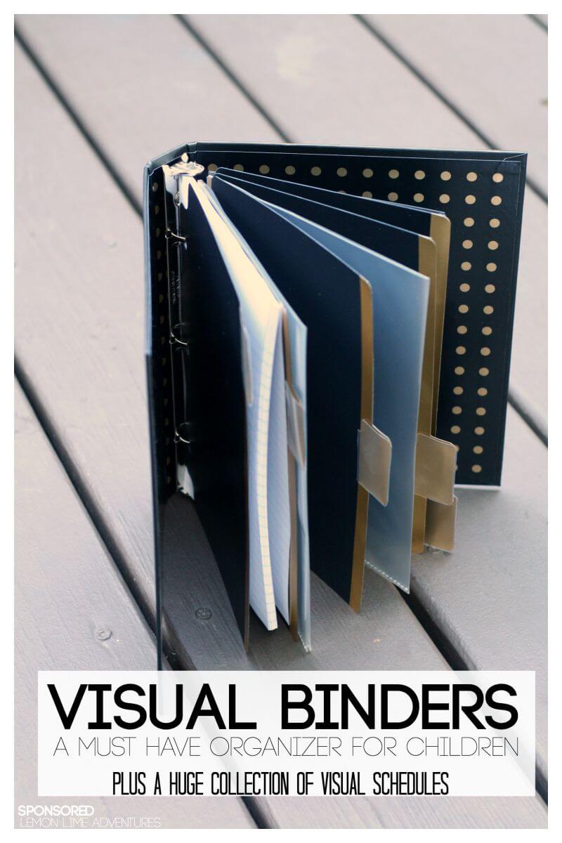 Visual Binders Creating Visual Systems that Work for Your Child