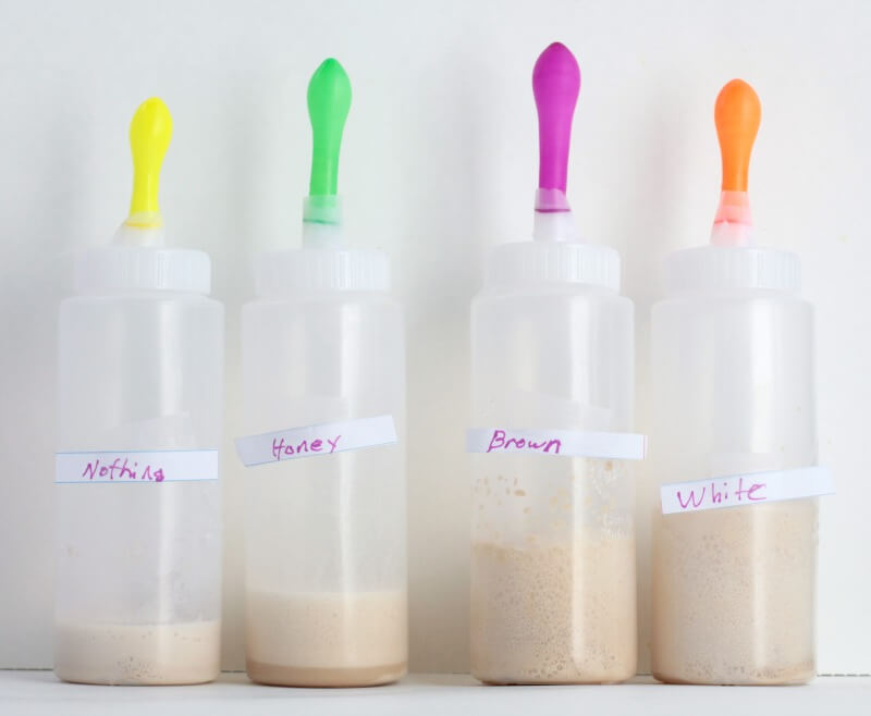 Amazingly Cool Classic Science | Yeast Science Experiment