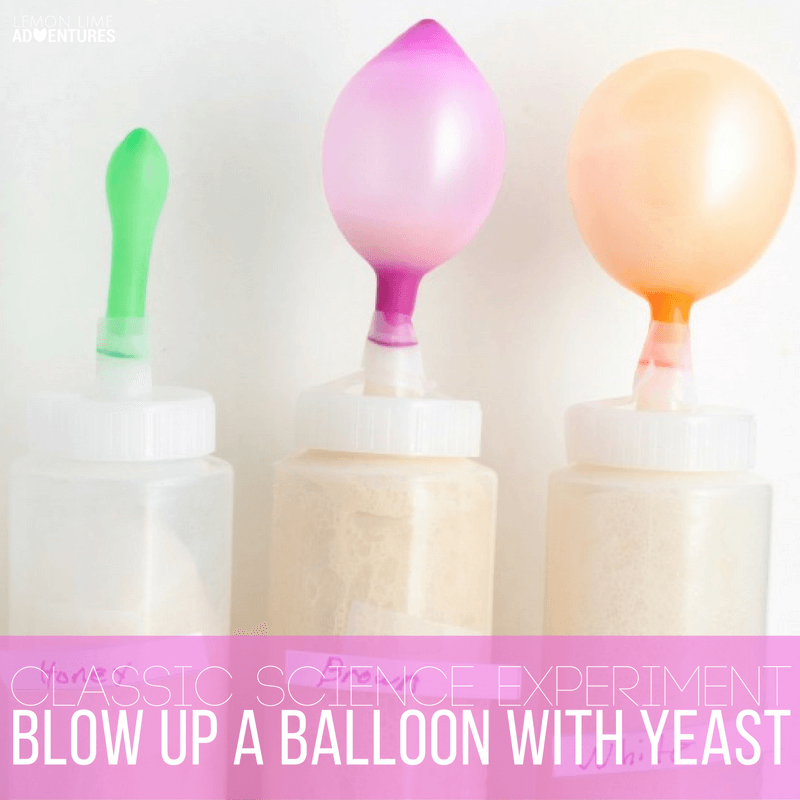 Amazingly Cool Classic Science | Yeast Science Experiment