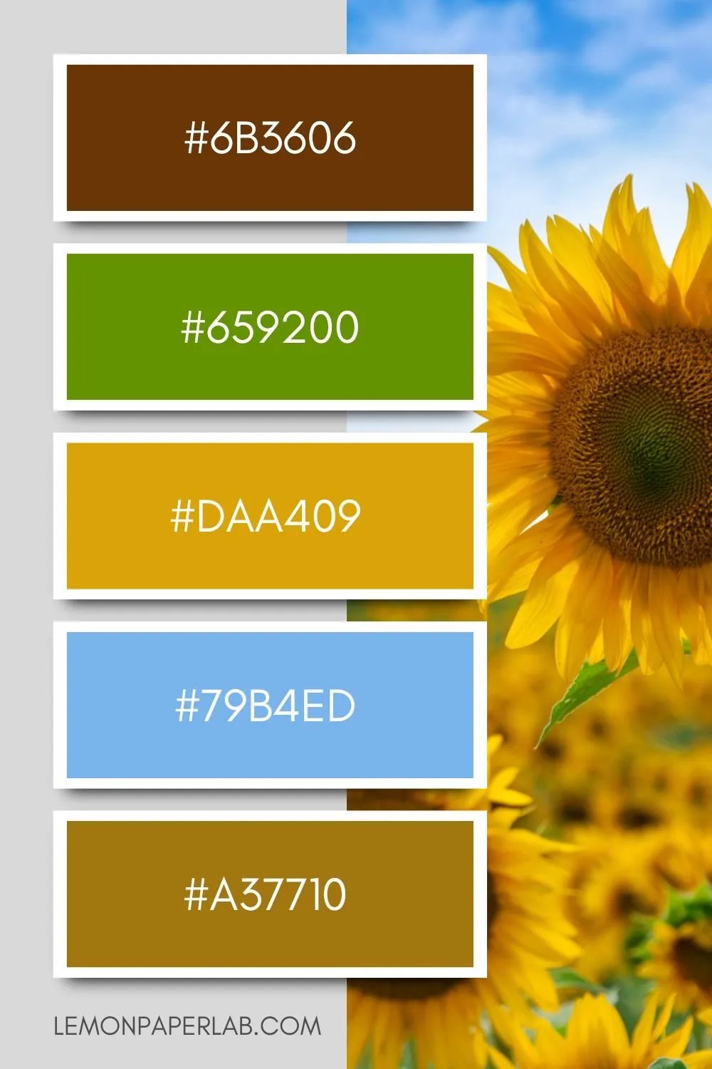 Color Palette 34 Sunflower Serenity Lemon Paper Lab