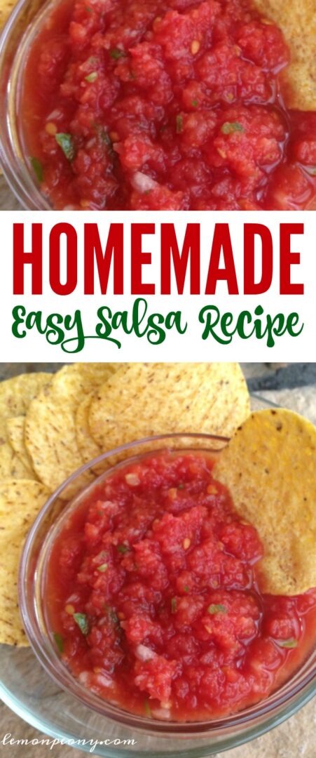 Easy Salsa Recipe Without Cilantro