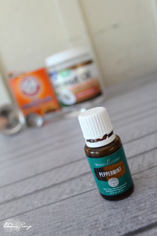 Peppermint Dog Toothpaste LemonPeony