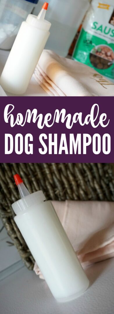 DIY Homemade Dog Shampoo Recipe
