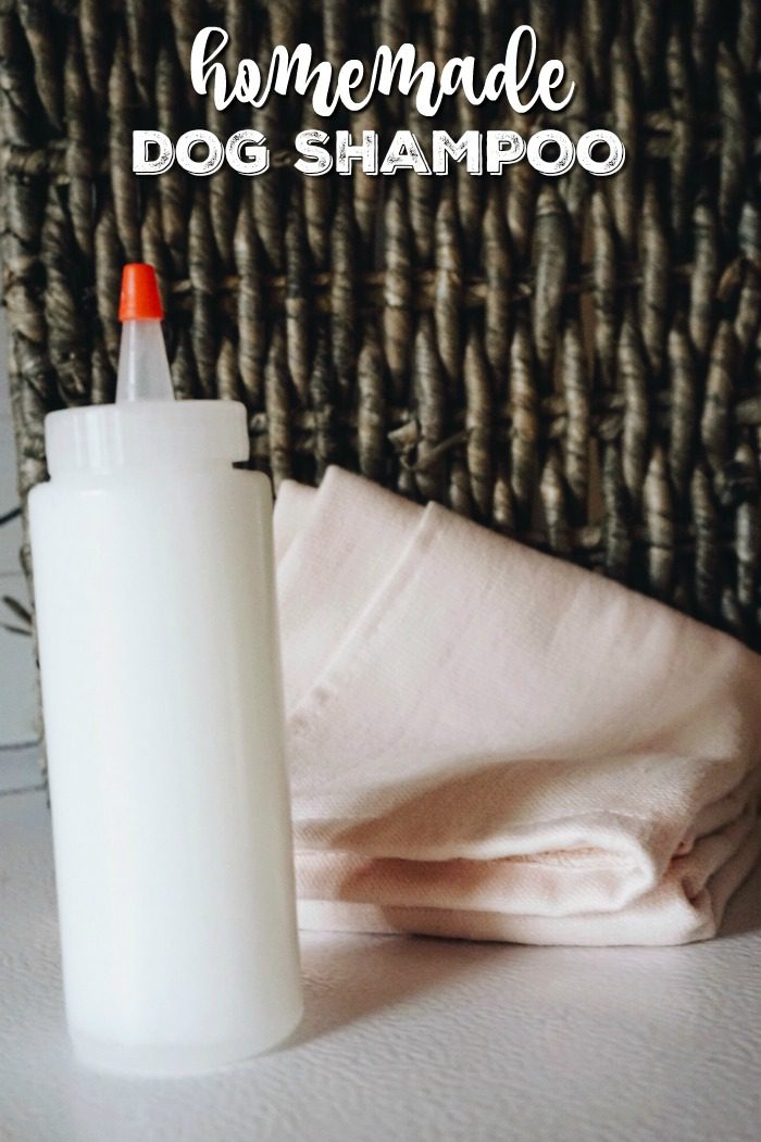 DIY Homemade Dog Shampoo Recipe