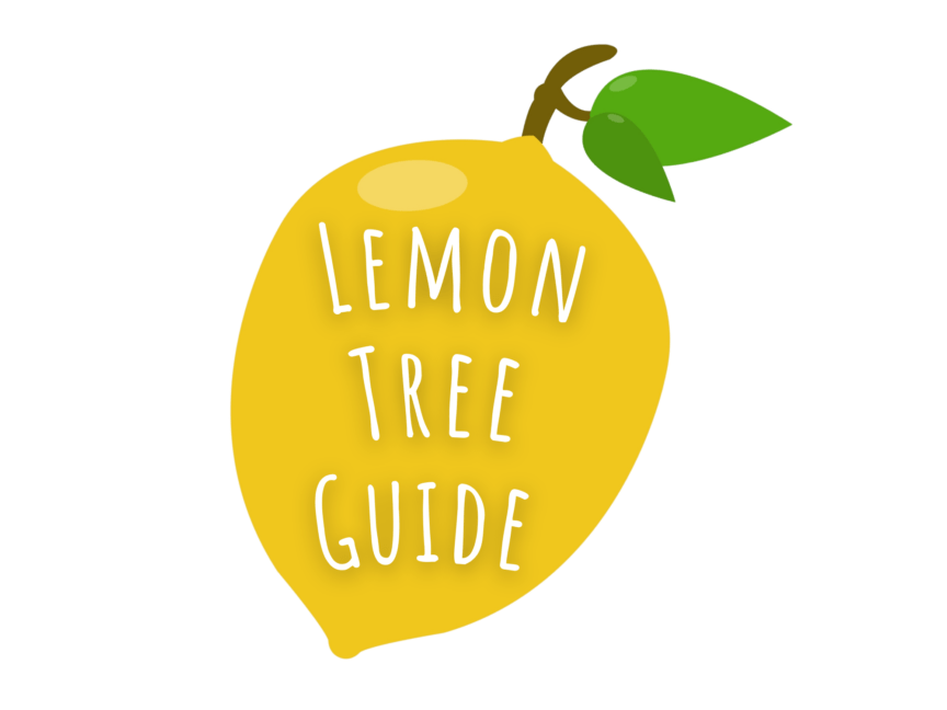 Lemon Tree Guide 3 Lemon Tree Guide