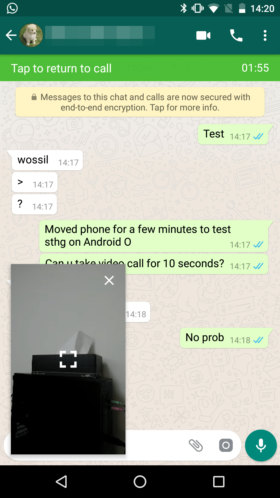Download Aplikasi Whatsapp Untuk Samsung Gt S5360