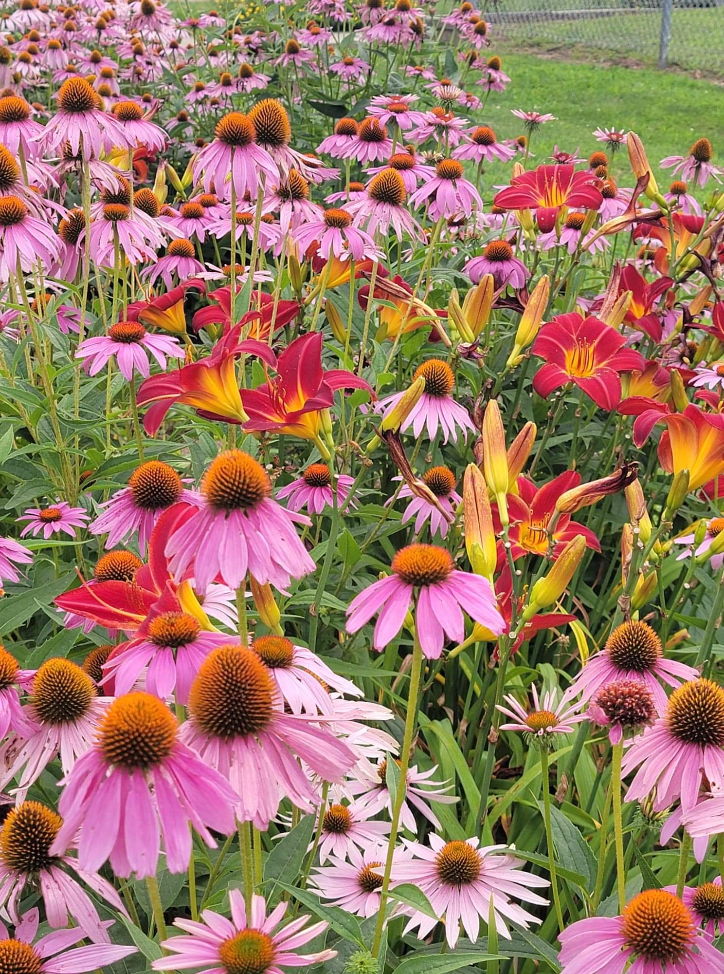 Contact Lena Community Park District