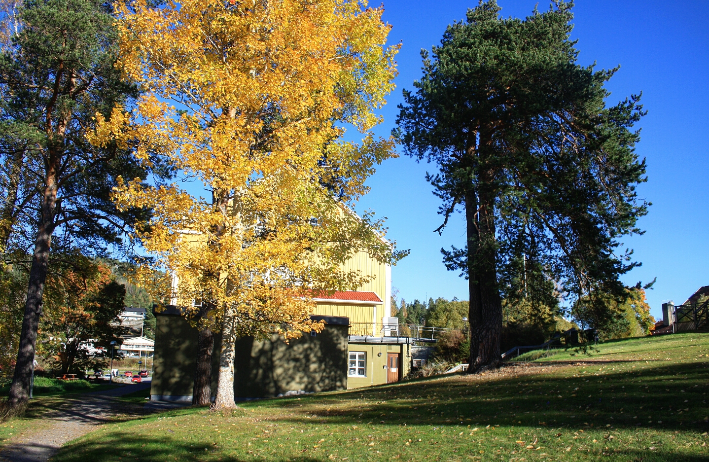 Hampnäs folkhögskola i våra hjärtan och minnen lenasoderberg