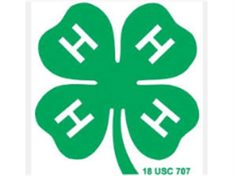 2022 Lenawee County 4H Fair