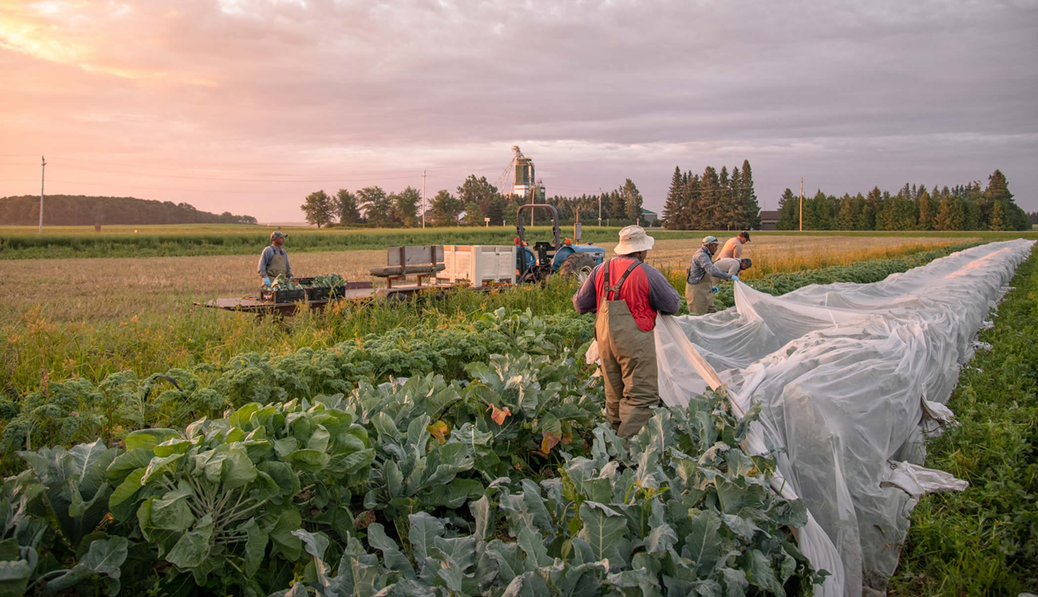 Growing Practices Lennox Farm, Shelburne Ontario