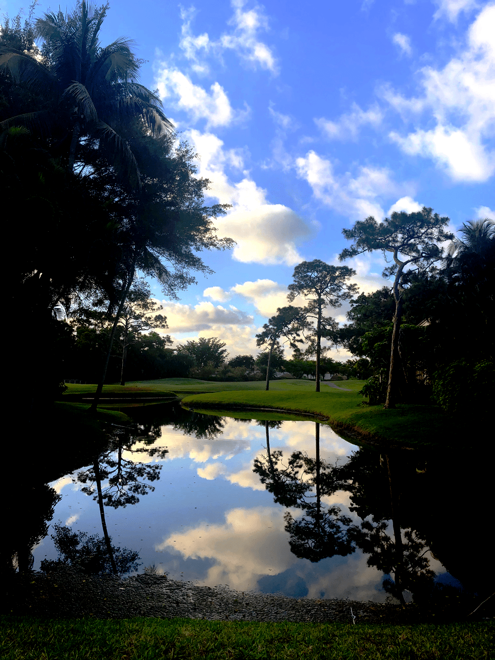 Special Edition Lenore Treiman, MBA, REALTOR®