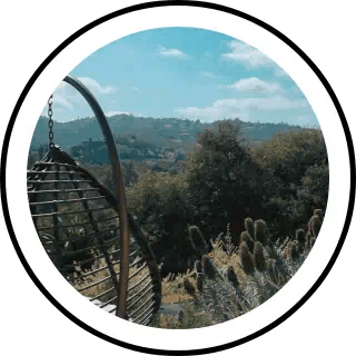 GABRIELLA ELLYSE (@gabbyabutbol) | Snapchat Stories, Spotlight & Lenses