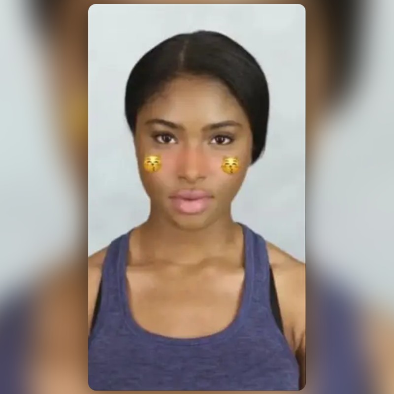 cat kiss cheeks Lens by brooke Snapchat Lenses and Filters