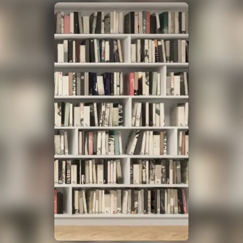 Google Meet Shelf Lens by Rena Tan Snapchat Lenses and Filters