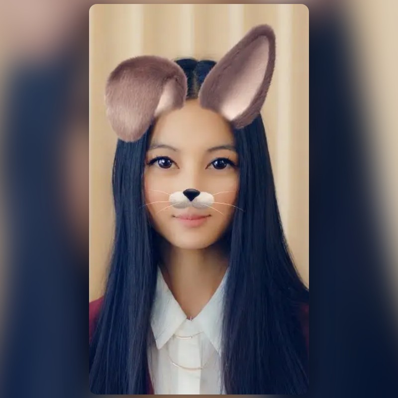 Brown Bunny Lens by Snapchat Snapchat Lenses and Filters