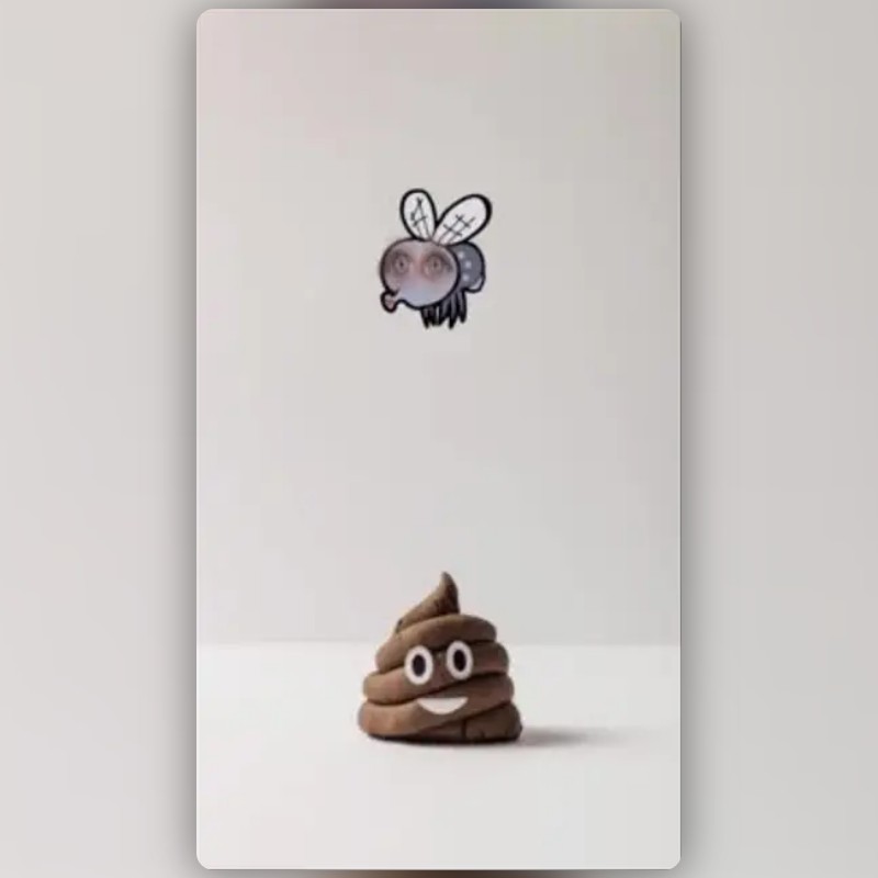 Fly and Poop Lens by Ananda Permata Snapchat Lenses and Filters