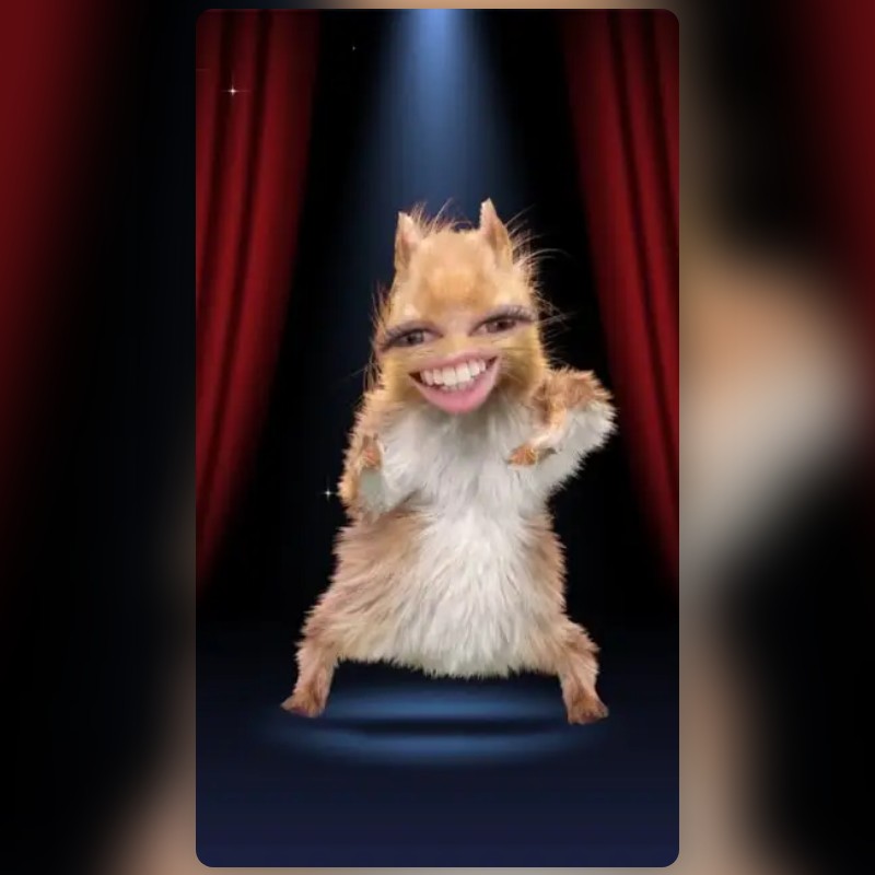Dancing Squirrel Lens by Snapchat Snapchat Lenses and Filters