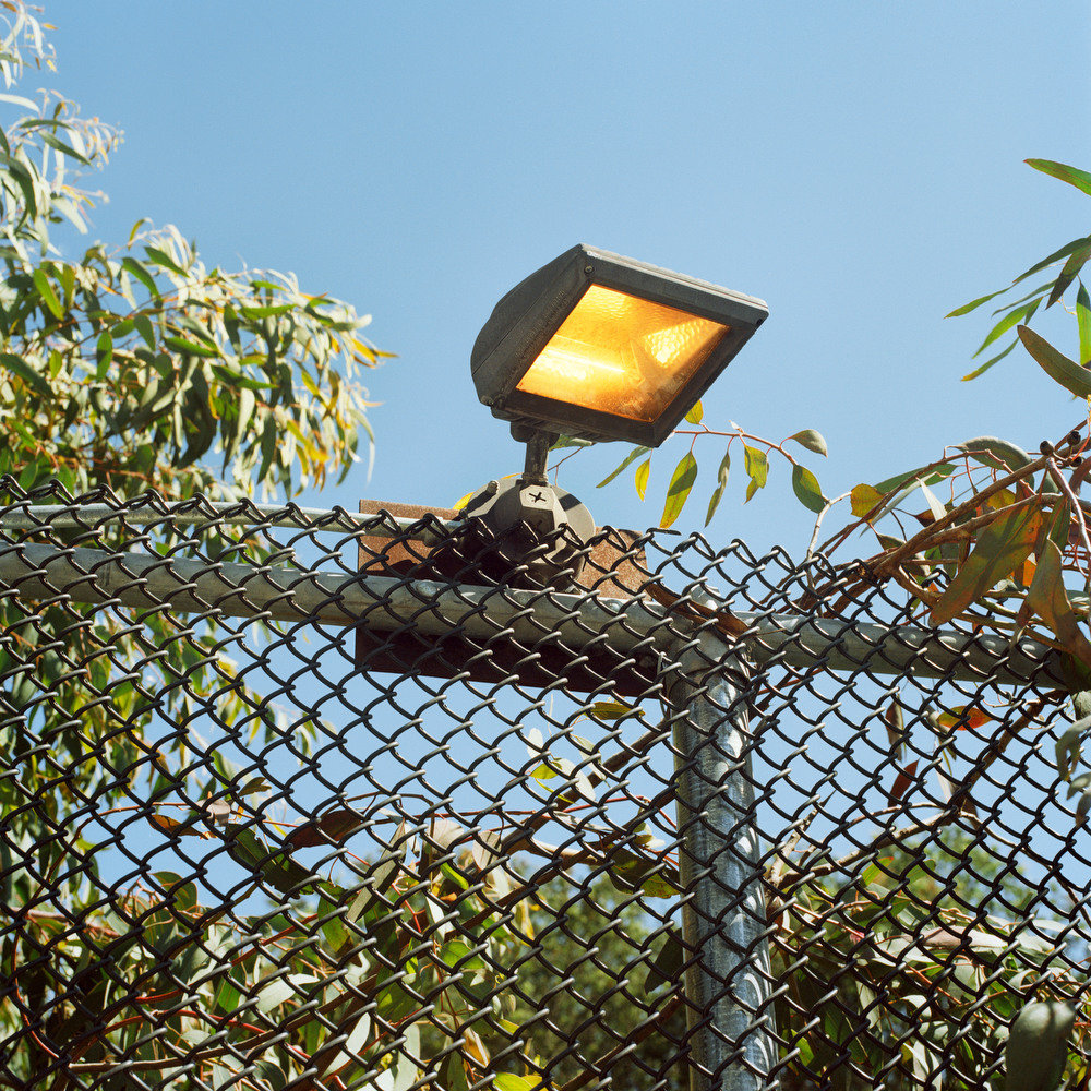 Silver Eye 2013 Keystone Award Ross Mantle LENSCRATCH