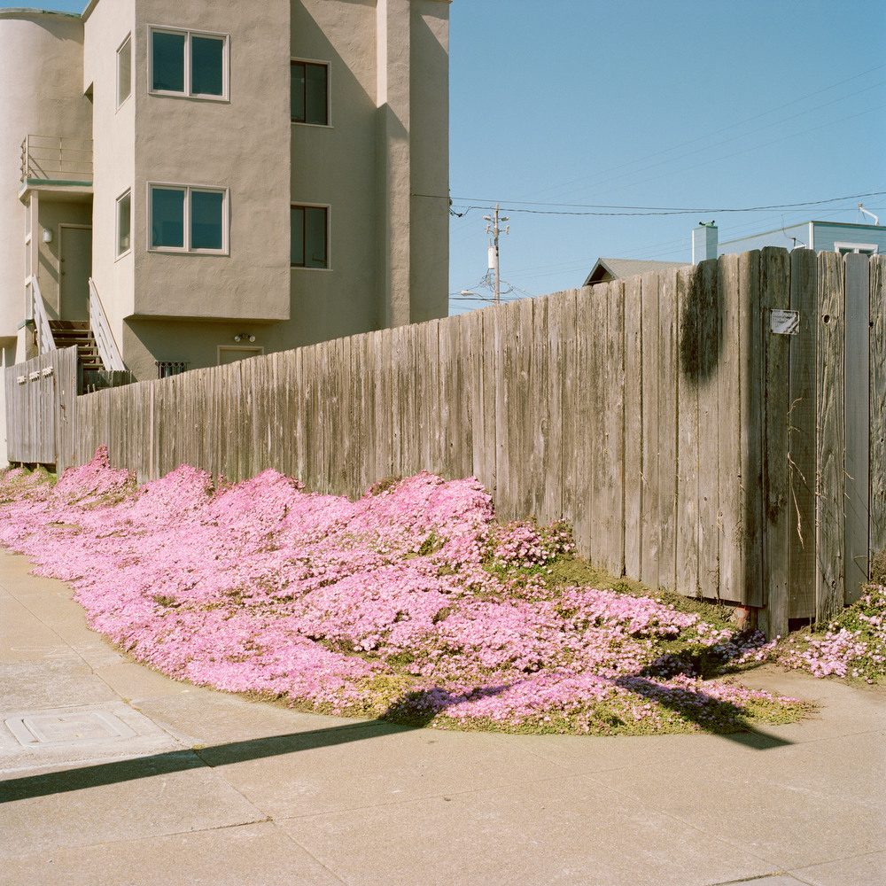 Silver Eye 2013 Keystone Award Ross Mantle LENSCRATCH