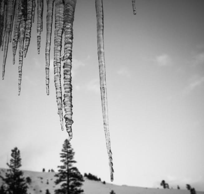 The 2014 Snow Exhibition LENSCRATCH