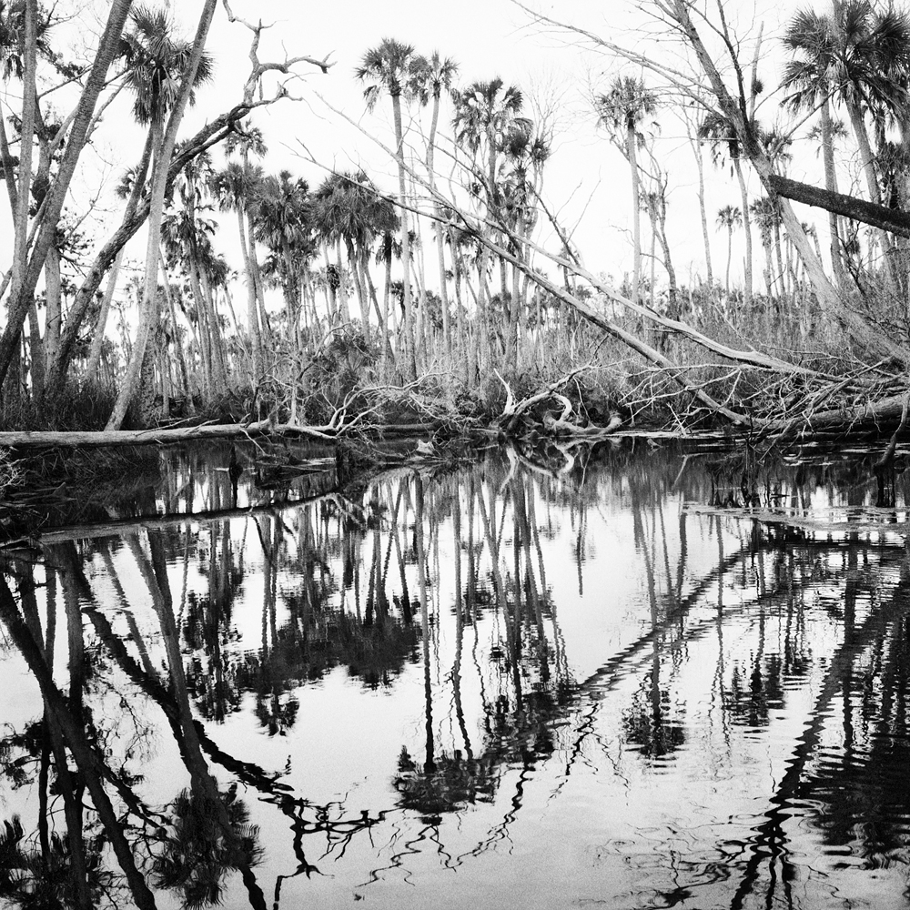 Benjamin Dimmitt Paradise Lost LENSCRATCH