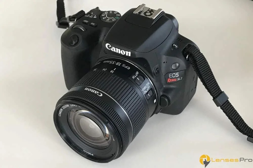 Best Lenses for Canon SL2 for Better Photos in 2020