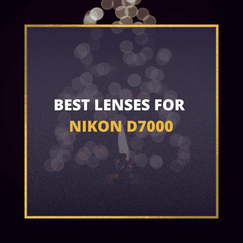 📸 5 MUSTOWN Lenses For Nikon D7000 In 2024 (Guide)