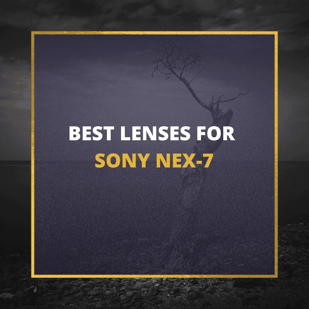 📸 5 MUSTOWN Lenses For Sony NEX 7 In 2024 (Guide)